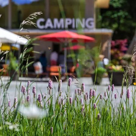 Camping St. Moritz Campeggio Sankt Moritz